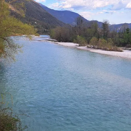 Valdi *
