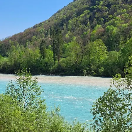 Daire Valdi Tolmin